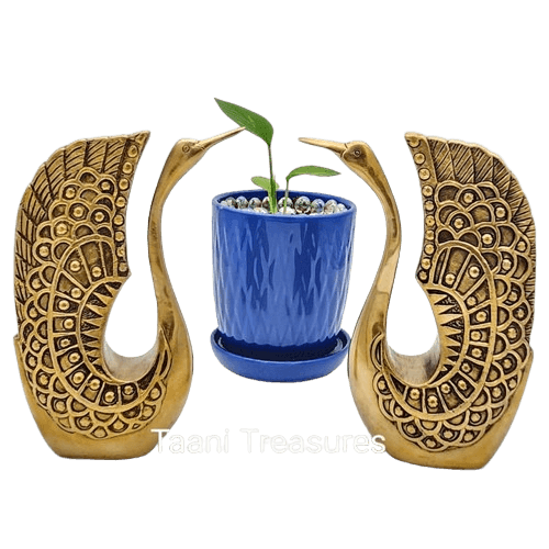 9.5" Brass Swan Set in Antique Finish